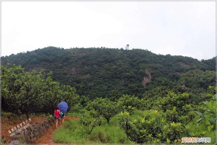 永泰莒溪穿越溯溪回顾 永泰莒溪