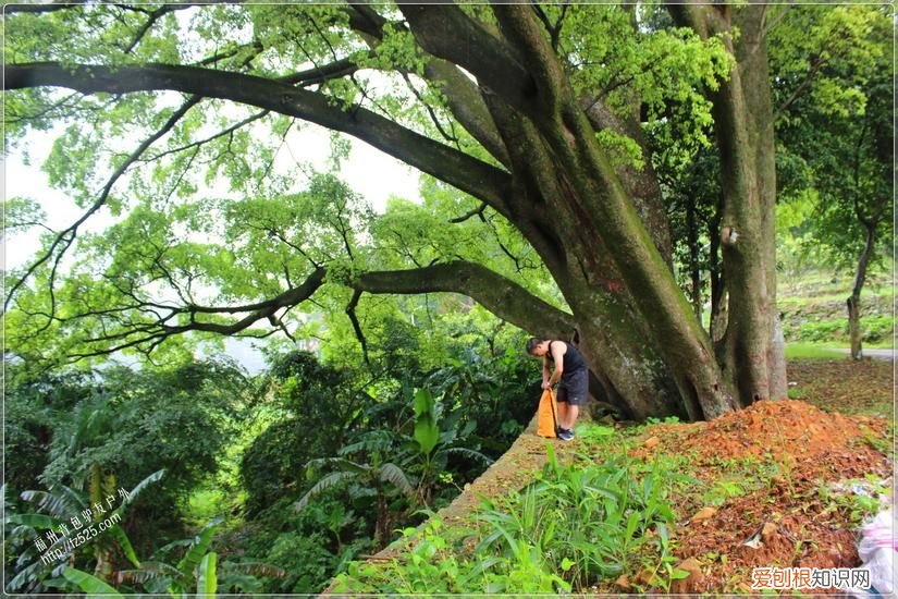 永泰莒溪穿越溯溪回顾 永泰莒溪