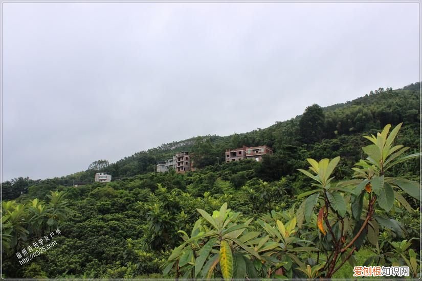 永泰莒溪穿越溯溪回顾 永泰莒溪