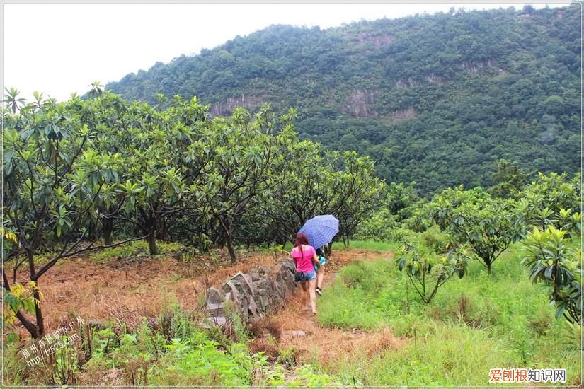 永泰莒溪穿越溯溪回顾 永泰莒溪