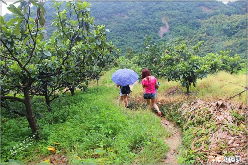 永泰莒溪穿越溯溪回顾 永泰莒溪