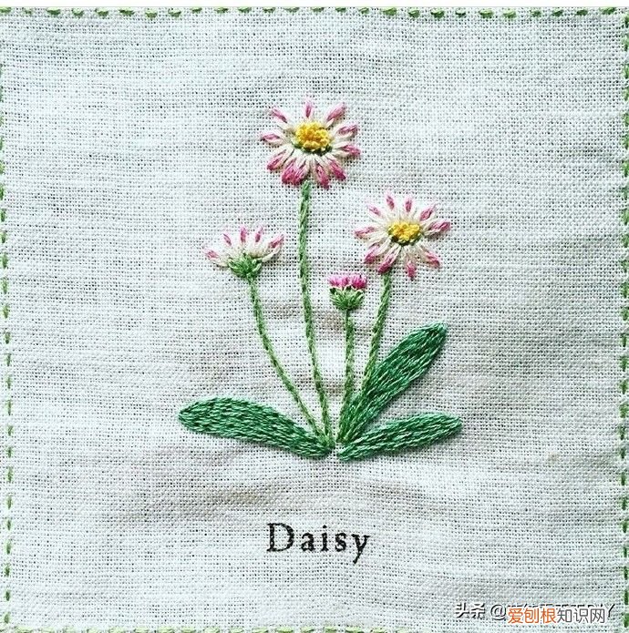美丽又简单的刺绣图案！ 简单绣花