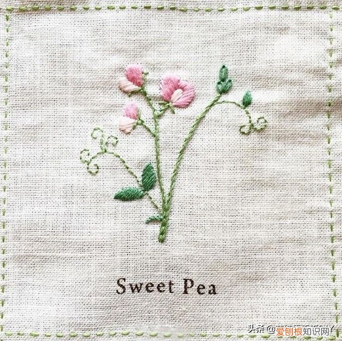 美丽又简单的刺绣图案！ 简单绣花