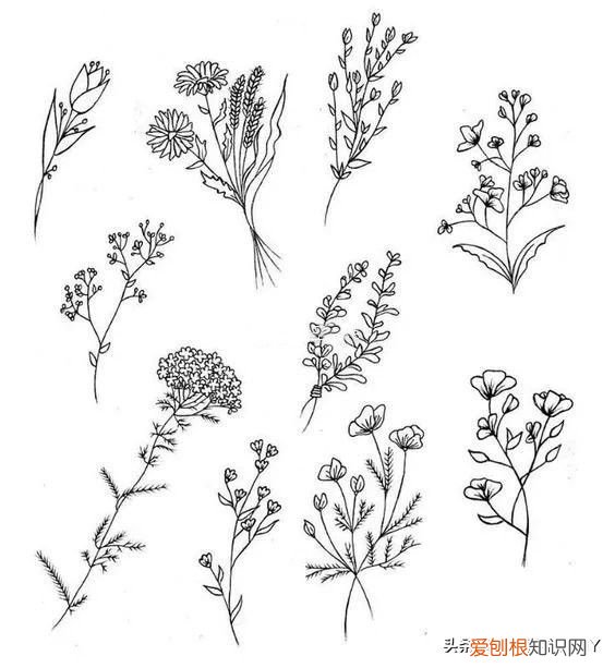 美丽又简单的刺绣图案! 简单绣花