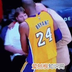 什么是曼巴精神？ 曼巴是什么意思