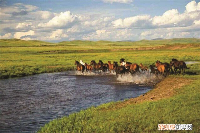 水资源保护与科学用水 保护水资源