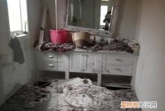 老鼠在天花板上怎样去除