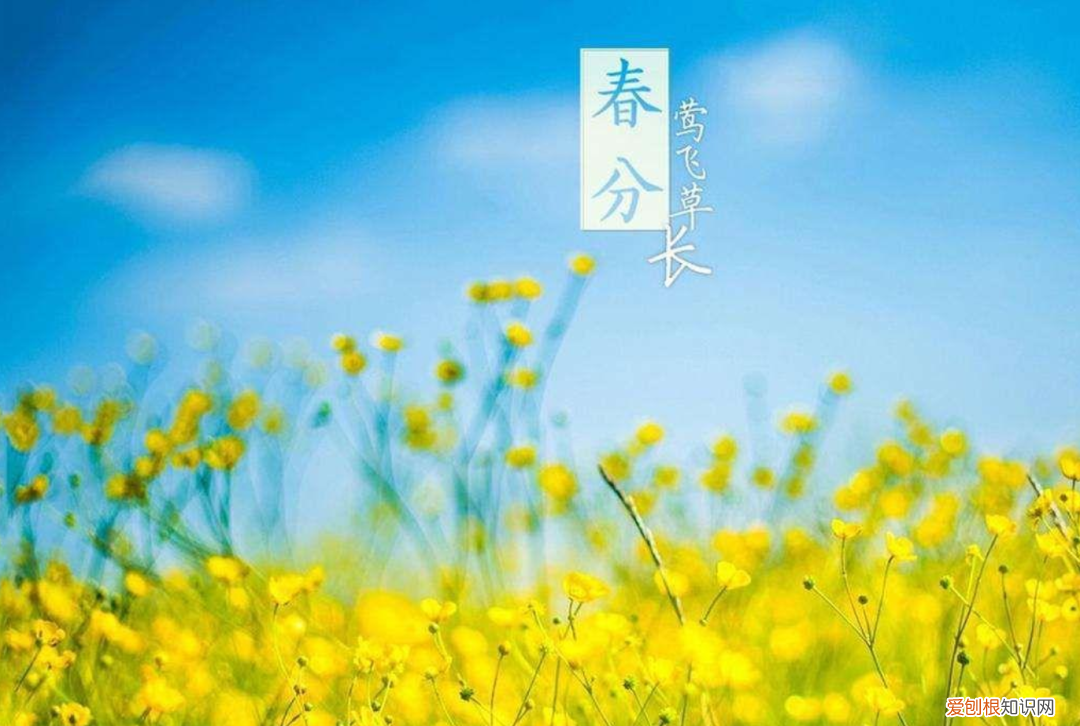 十二首春分的诗词 春分日古诗