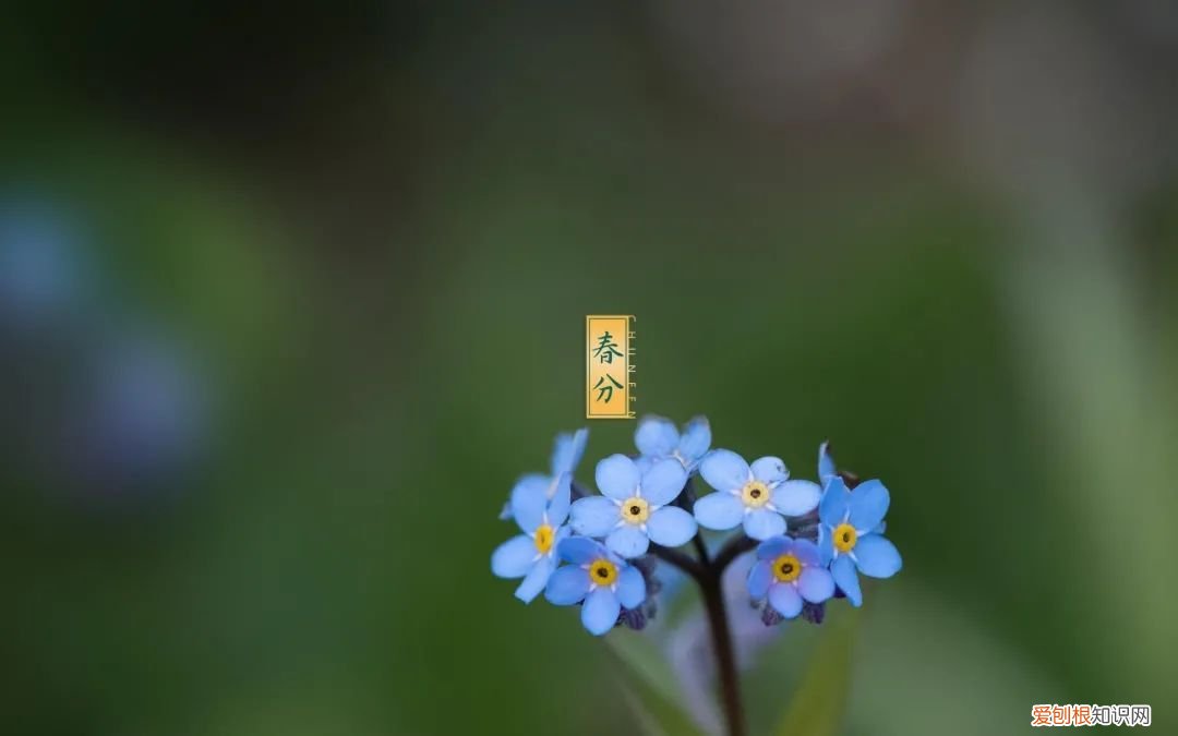 十二首春分的诗词 春分日古诗