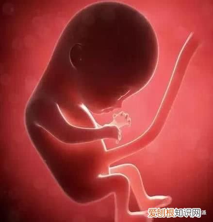 胎盘钙化怎么回事 胎儿钙化