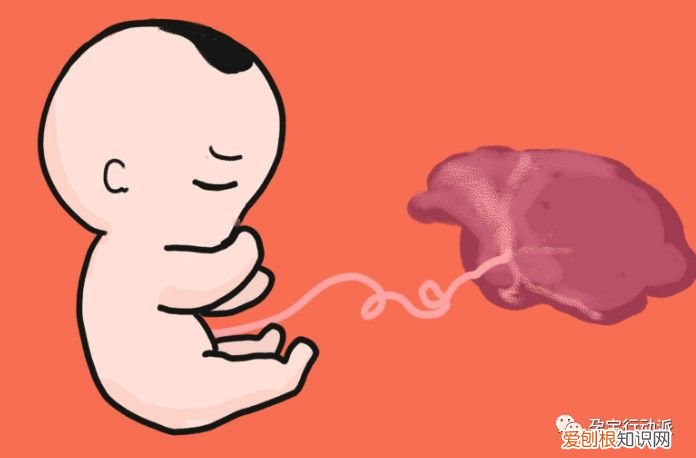 胎盘钙化怎么回事 胎儿钙化