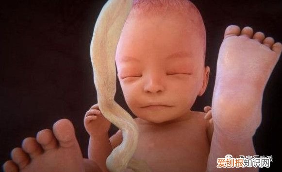 胎盘钙化怎么回事 胎儿钙化