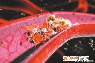 不喜欢喝水？那么这五种疾病要注意了！ 不喜欢喝水