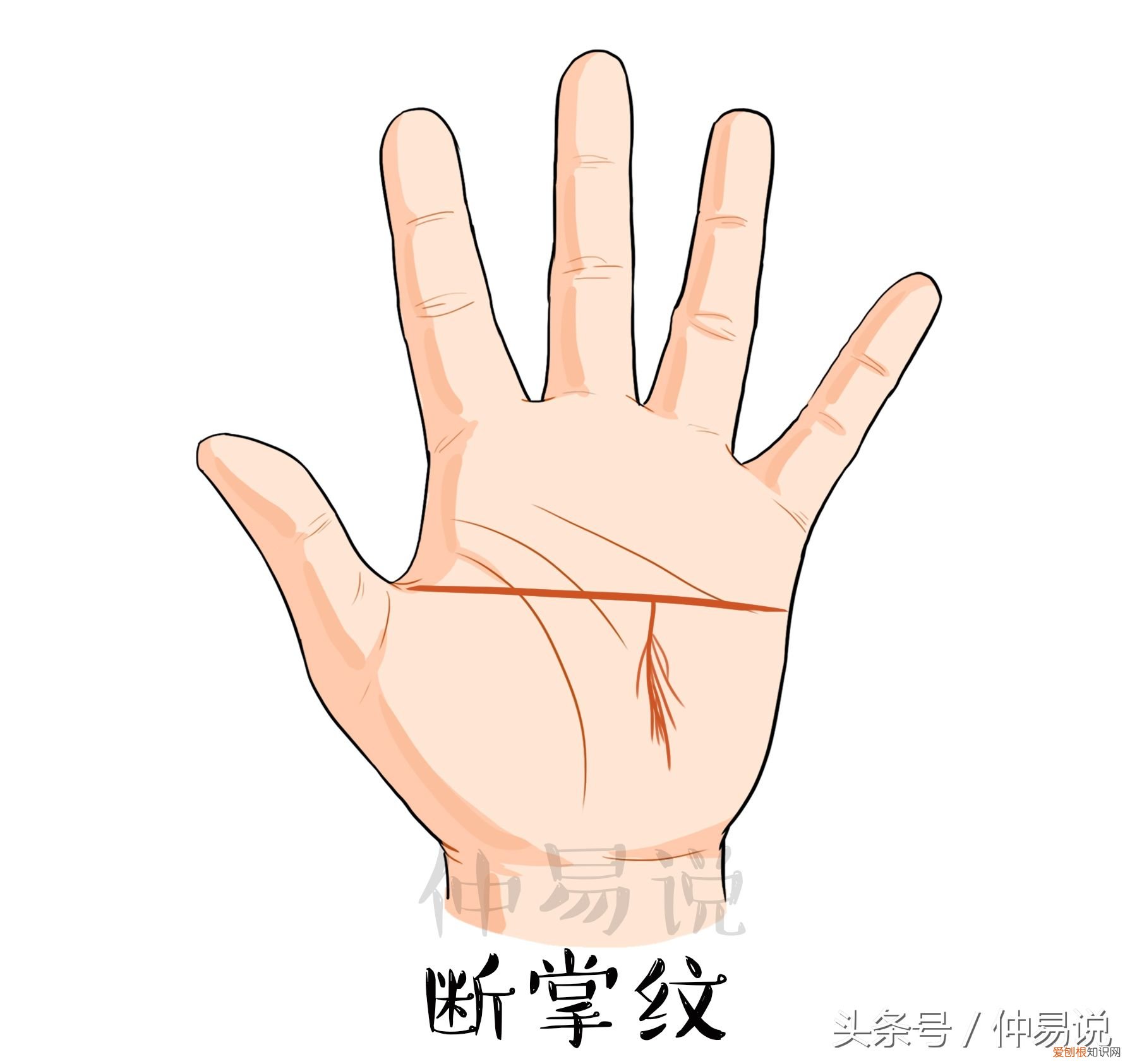 4种断掌看你今生的命好不好？ 什么是断掌？