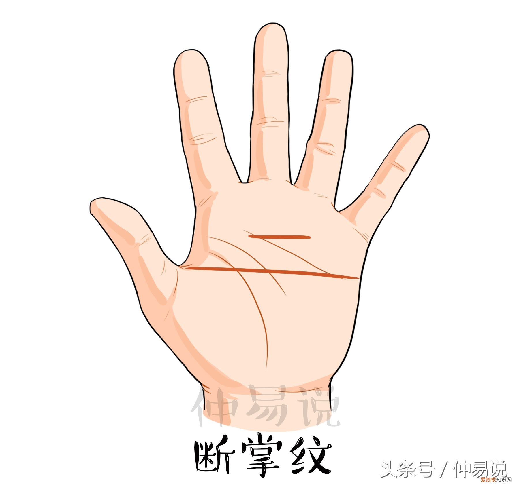 4种断掌看你今生的命好不好？ 什么是断掌？