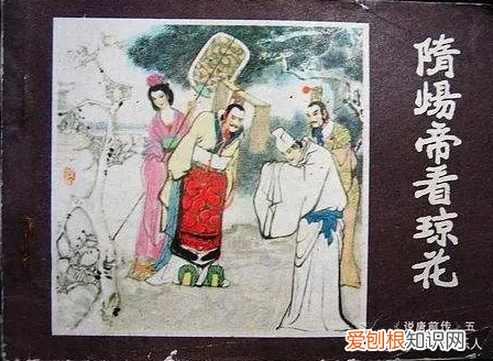 昙花一现”是指的什么？ 昙花一现的意思