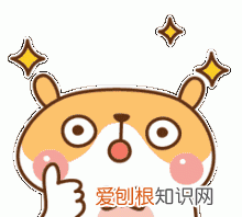 科普这些特殊的灭火器你都认识吗