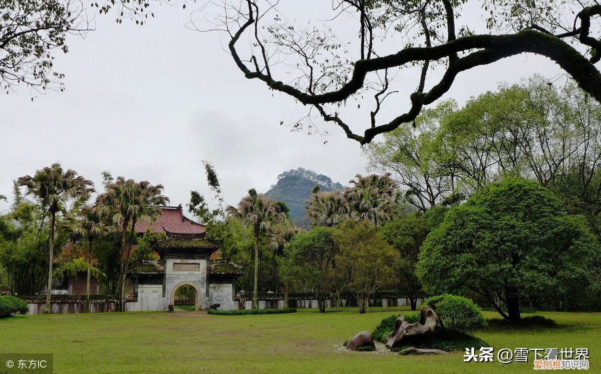 句句押韵的诗歌你知道几首? 押韵的诗