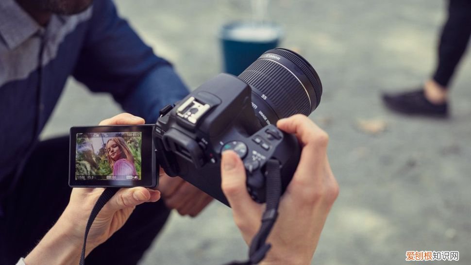 最佳初学者单反相机推荐 单反入门推荐