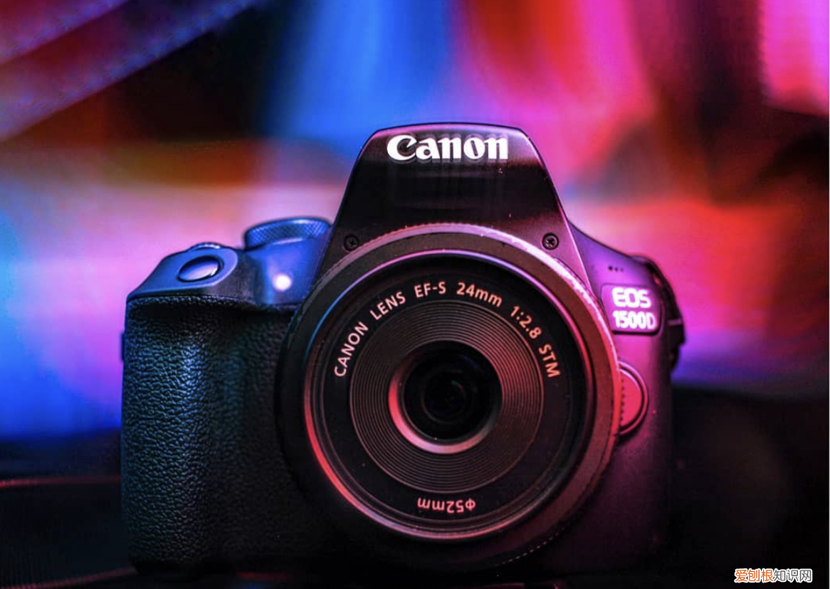 最佳初学者单反相机推荐 单反入门推荐