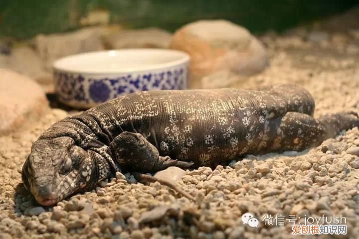 上海25家亲子活动场馆 上海活动场地