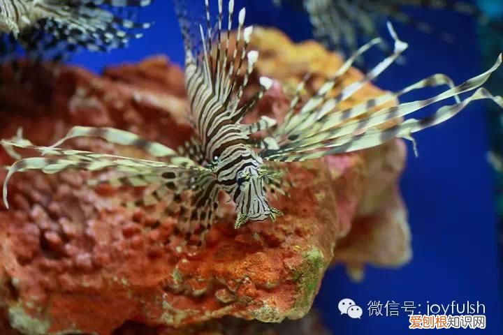 上海25家亲子活动场馆 上海活动场地