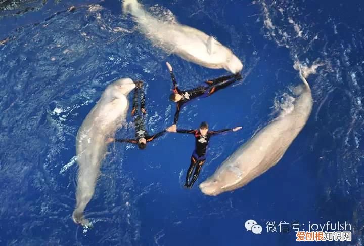 上海25家亲子活动场馆 上海活动场地