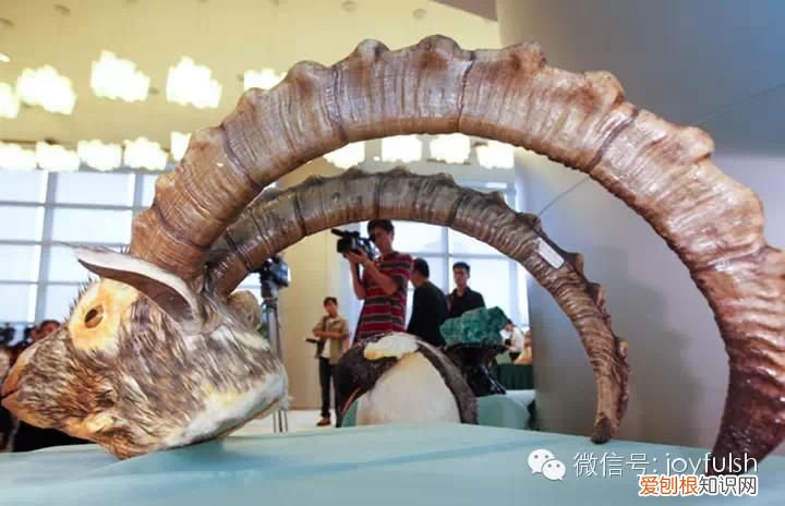 上海25家亲子活动场馆 上海活动场地