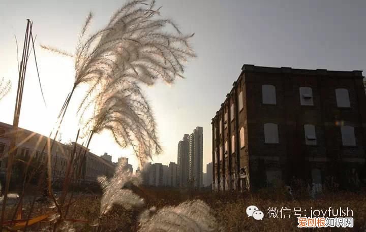 上海25家亲子活动场馆 上海活动场地