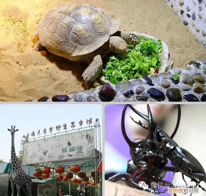 上海25家亲子活动场馆 上海活动场地