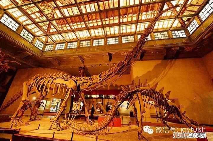 上海25家亲子活动场馆 上海活动场地