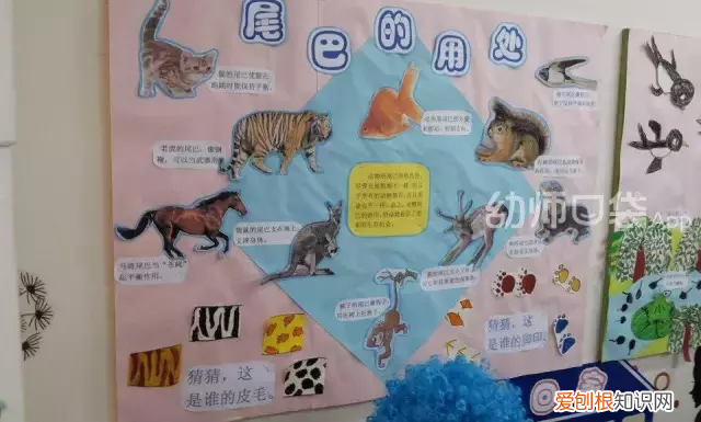幼儿园都教什么? 幼儿园课程