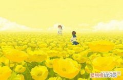 如何写课题申报书 课题申报书