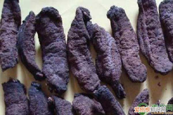 海参购买时如何挑选? 如何挑选海参呢