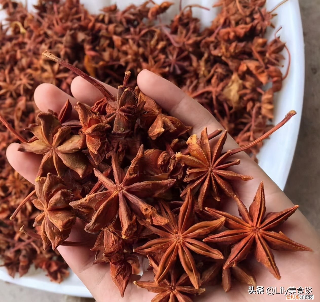 炖羊肉汤时，切记别放“2种料” 炖羊肉最忌讳两种佐料