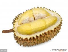 经常吃榴莲的人身体会有什么变化 吃榴莲有什么好处