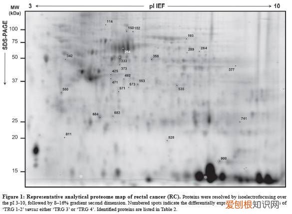 蛋白质组学研究，这篇够经典！ 蛋白组学分析