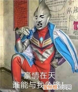 热门搞笑表情包50张 qq搞笑表情图片