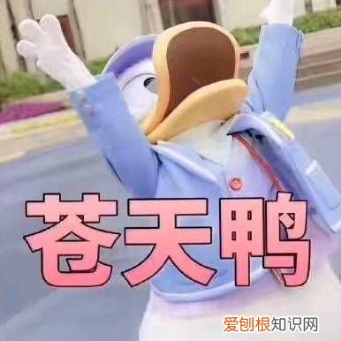 热门搞笑表情包50张 qq搞笑表情图片