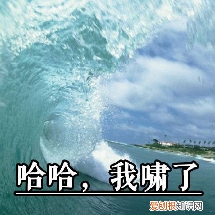热门搞笑表情包50张 qq搞笑表情图片