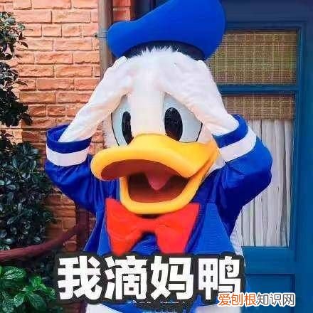 热门搞笑表情包50张 qq搞笑表情图片