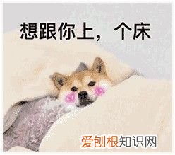 热门搞笑表情包50张 qq搞笑表情图片