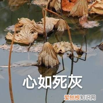 热门搞笑表情包50张 qq搞笑表情图片