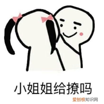 热门搞笑表情包50张 qq搞笑表情图片