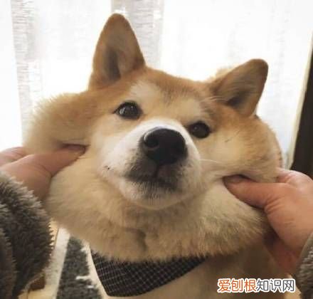 热门搞笑表情包50张 qq搞笑表情图片