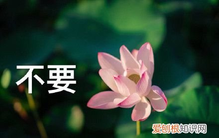 热门搞笑表情包50张 qq搞笑表情图片