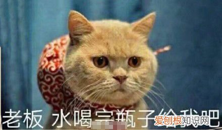 热门搞笑表情包50张 qq搞笑表情图片