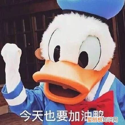 热门搞笑表情包50张 qq搞笑表情图片