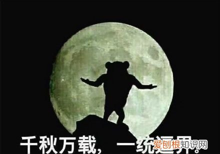 热门搞笑表情包50张 qq搞笑表情图片