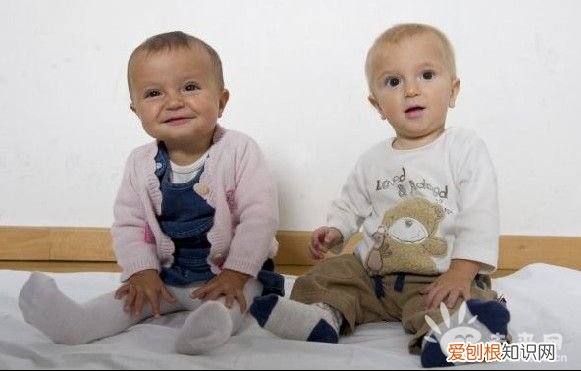 叶酸跟双胞胎有啥关系? 叶酸 双胞胎